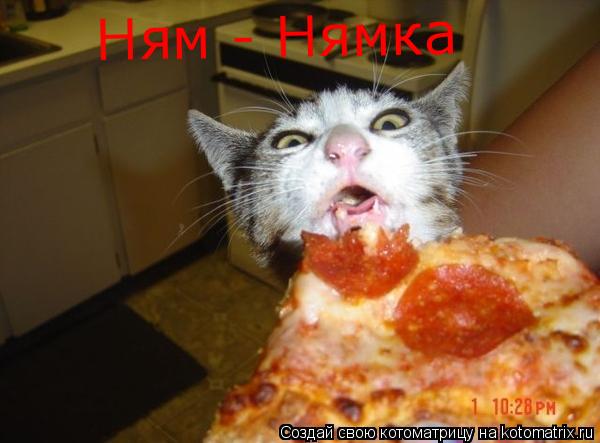 Котоматрица: Нямка  Ням - Нямка