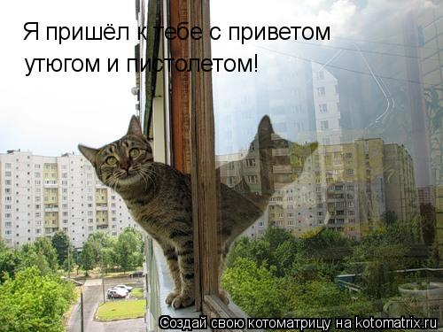 Котоматрица: Я пришёл к тебе с приветом утюгом и пистолетом!