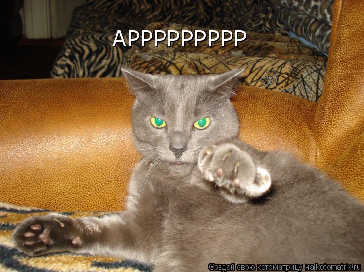 АРРРРРРРРР... Котоматрица: АРРРРРРРРР