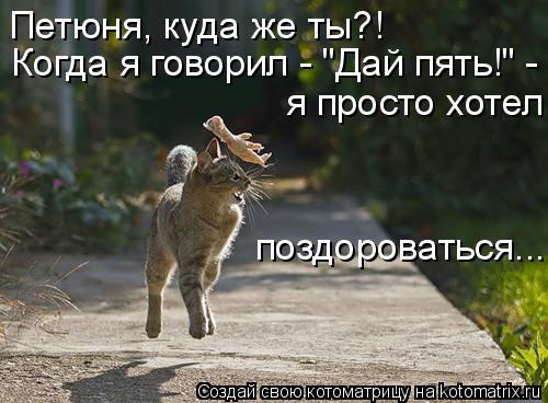 Петюня, куда же ты?! Когда я говорил - "Дай пять!" - я просто хотел поздороваться...... Котоматрица: Петюня, куда же ты?! Когда я говорил - "Дай пять!" - я просто хотел поздороваться...