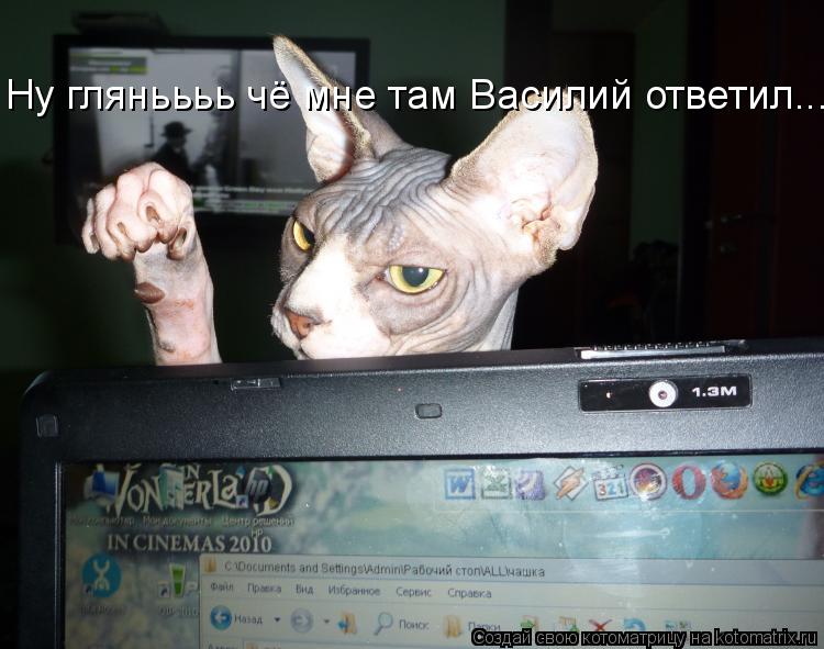 Ну гляньььь чё мне там Василий ответил...... Котоматрица: Ну гляньььь чё мне там Василий ответил...