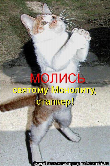 МОЛИСЬ святому Монолиту, сталкер!... Котоматрица: МОЛИСЬ святому Монолиту, сталкер!