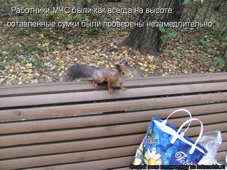 Работники МЧС были как всегда на высоте: оставленные сумки были проверены незамедлительно.... Котоматрица: Работники МЧС были как всегда на высоте: оставленные сумки были проверены незамедлительно.