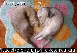 Котоматрица: Месяц март............=)
