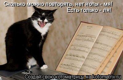 Котоматрица: Сколько можно повторять, нет ноты - мя! Есть только - ля!