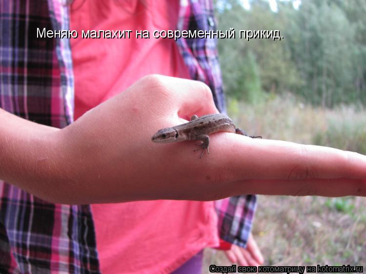 Котоматрица: Меняю малахит на современный прикид.