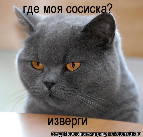 Котоматрица: где моя сосиска? изверги