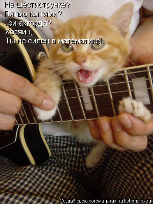 Котоматрица: На шестиструнке? Пятью когтями? Три аккорда? Хозяин, Ты не силен в математике!..