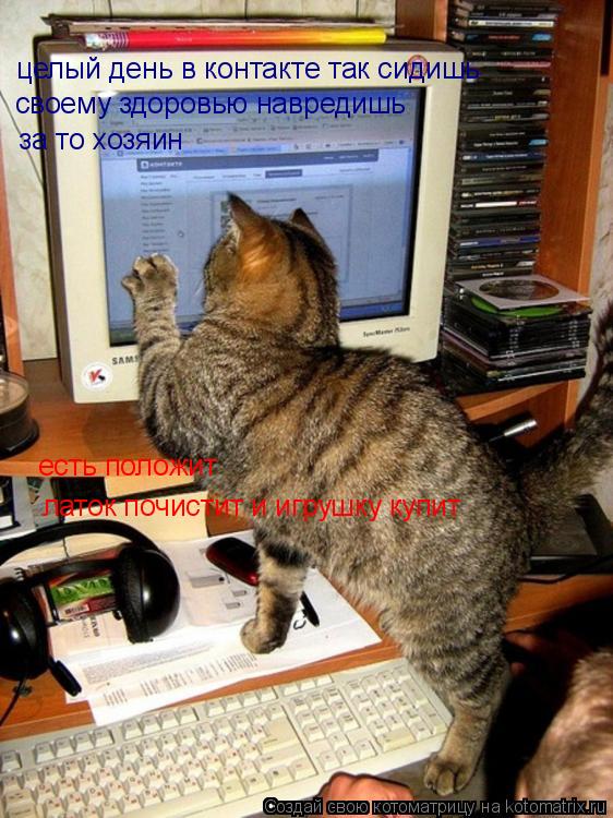 Котоматрица: целый день в контакте так сидишь своему здоровью навредишь за то хозяин есть положит латок почистит и игрушку купит