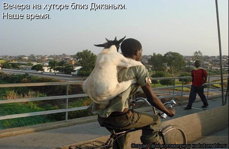 Котоматрица: Вечера на хуторе близ Диканьки. Наше время.