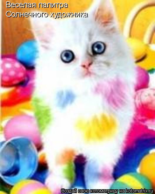 Котоматрица: Веселая палитра Солнечного художника