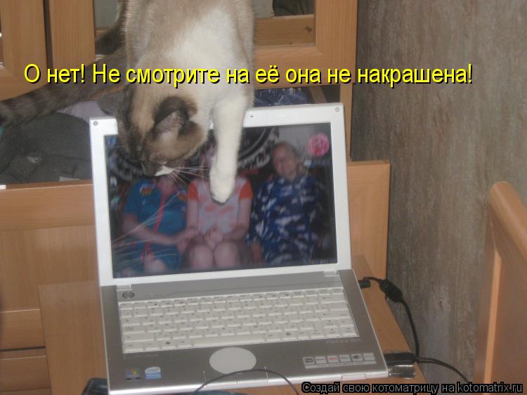О нет! Не смотрите на её она не накрашена!... Котоматрица: О нет! Не смотрите на её она не накрашена!