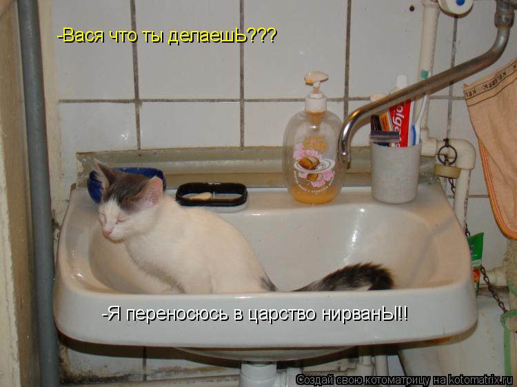 -Вася что ты делаешЬ??? -Я переносюсь в царство нирванЫ!!... Котоматрица: -Вася что ты делаешЬ??? -Я переносюсь в царство нирванЫ!!