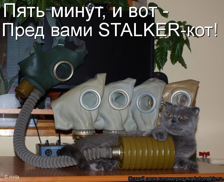 Пять минут, и вот - Пред вами STALKER-кот!... Котоматрица: Пять минут, и вот - Пред вами STALKER-кот!