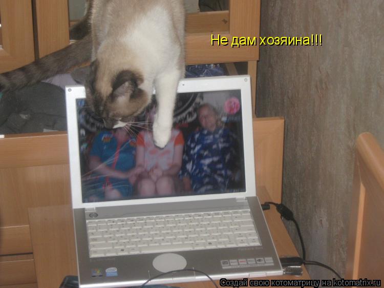 Не дам хозяина!!!... Котоматрица: Не дам хозяина!!!
