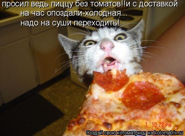 просил ведь пиццу без томатов!!и с доставкой на час опоздали-холодная... надо на суши переходить!... Котоматрица: просил ведь пиццу без томатов!!и с доставкой на час опоздали-холодная... надо на суши переходить!