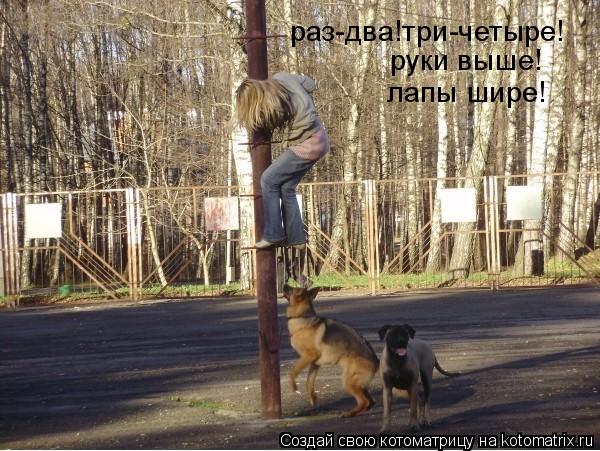 раз-два!три-четыре! руки выше! лапы шире!... Котоматрица: раз-два!три-четыре! руки выше! лапы шире!