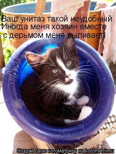 Ваш унитаз такой неудобный Иногда меня хозяин вместе с дерьмом меня выливает!... Котоматрица: Ваш унитаз такой неудобный Иногда меня хозяин вместе с дерьмом меня выливает!