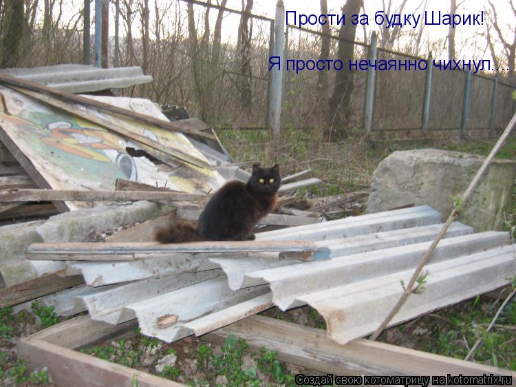 Котоматрица: Прости за будку Шарик!  Я просто нечаянно чихнул....