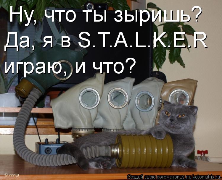 Ну, что ты зыришь? Да, я в S.T.A.L.K.E.R играю, и что?... Котоматрица: Ну, что ты зыришь? Да, я в S.T.A.L.K.E.R играю, и что?