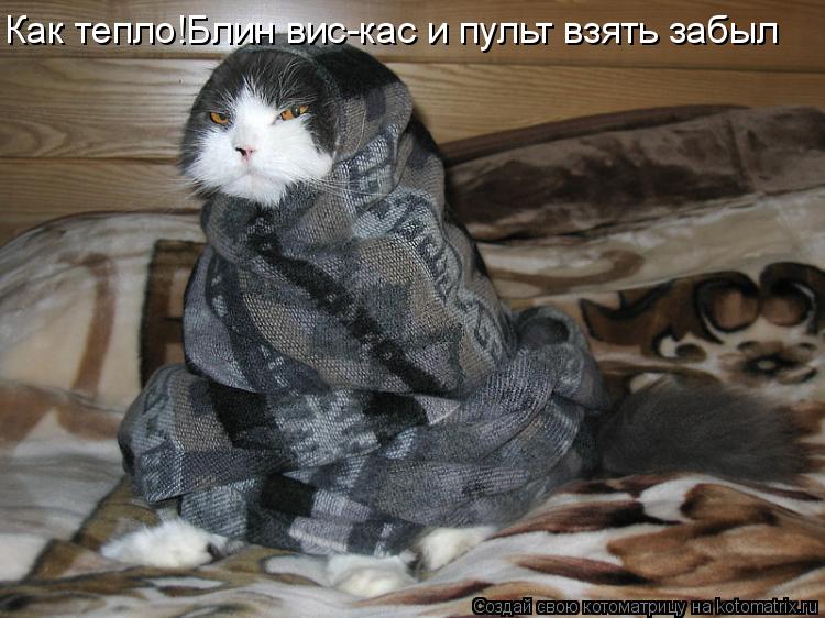 Как тепло!Блин вис-кас и пульт взять забыл... Котоматрица: Как тепло!Блин вис-кас и пульт взять забыл