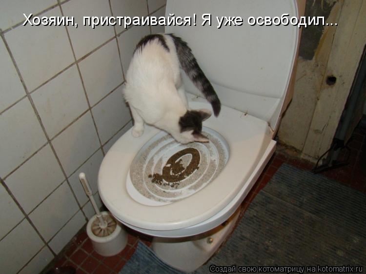 Хозяин, пристраивайся! Я уже освободил...... Котоматрица: Хозяин, пристраивайся! Я уже освободил...