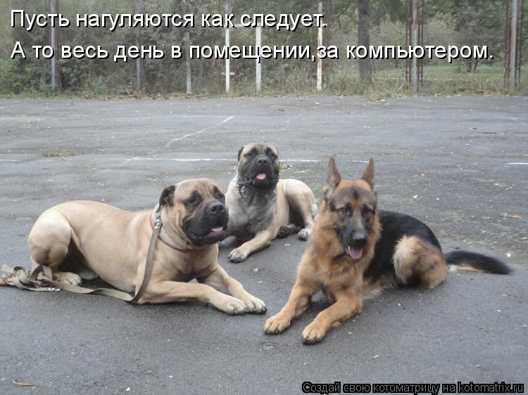 http://kotomatrix.ru/images/lolz/2011/11/03/1030065.jpg