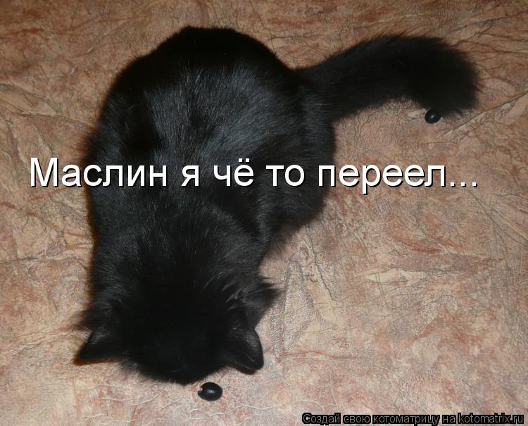 Котоматрица: Маслин я чё то переел...
