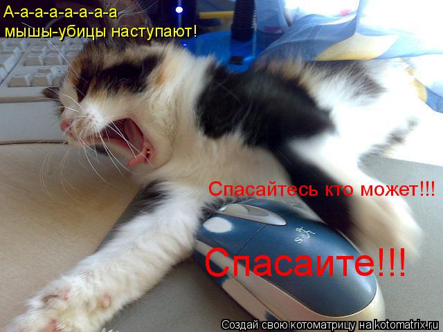 Котоматрица: А-а-а-а-а-а-а-а мышы-убицы наступают! Спасайтесь кто может!!! Спасаите!!!