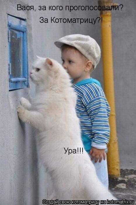 Котоматрица: Вася, за кого проголосовали? За Котоматрицу?! Ура!!!