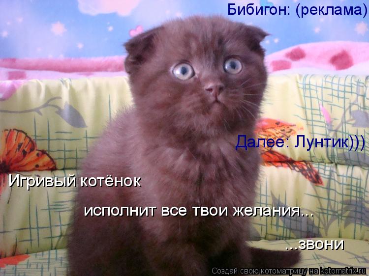 Котоматрица: Игривый котёнок  исполнит все твои желания... ...звони Далее: Лунтик))) Бибигон: (реклама)