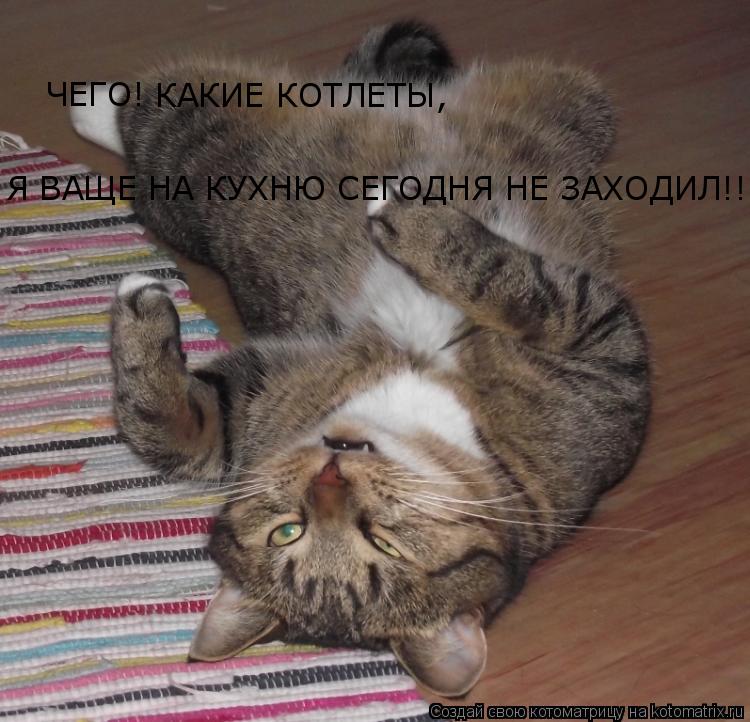 Котоматрица: ЧЕГО! КАКИЕ КОТЛЕТЫ, Я ВАЩЕ НА КУХНЮ СЕГОДНЯ НЕ ЗАХОДИЛ!!!