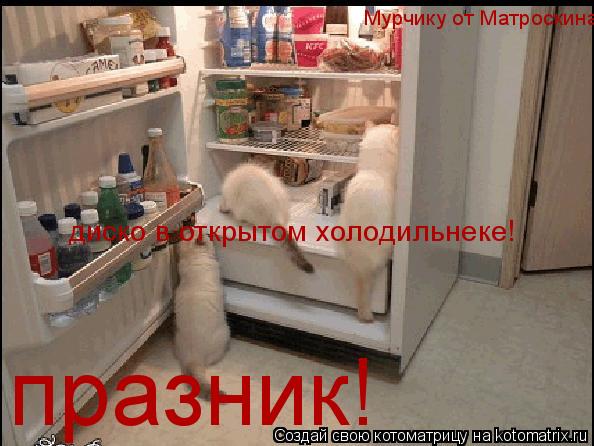 Котоматрица: празник! диско в открытом холодильнеке! Мурчику от Матроскина