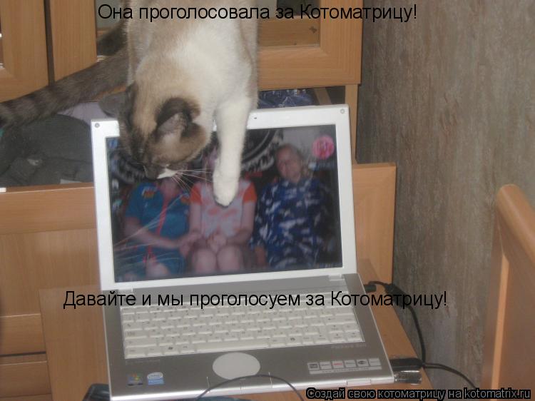 Котоматрица: Она проголосовала за Котоматрицу! Давайте и мы проголосуем за Котоматрицу!
