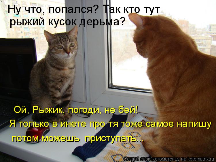 Котоматрица: Ну что, попался? Так кто тут рыжий кусок дерьма? Ой, Рыжик, погоди, не бей! Я только в инете про тя тоже самое напишу потом можешь  приступать...