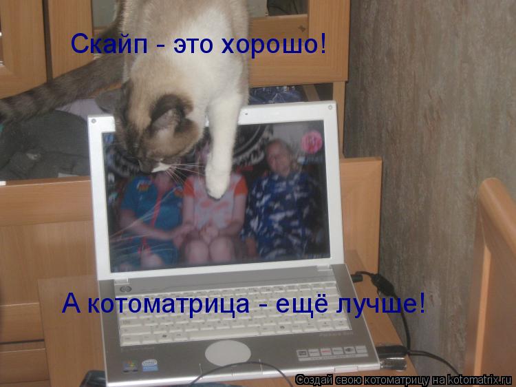 Котоматрица: Скайп - это хорошо! А котоматрица - ещё лучше!
