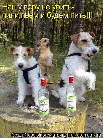 Котоматрица: Нашу веру не убить- пили,пьем и будем пить!!!