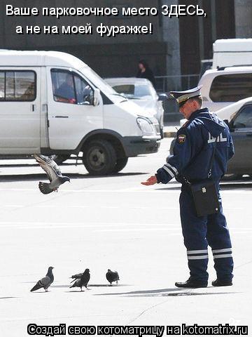Котоматрица: Ваше парковочное место ЗДЕСЬ, а не на моей фуражке!