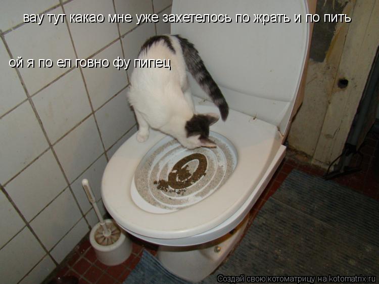 Котоматрица: вау тут какао мне уже захетелось по жрать и по пить ой я по ел говно фу пипец