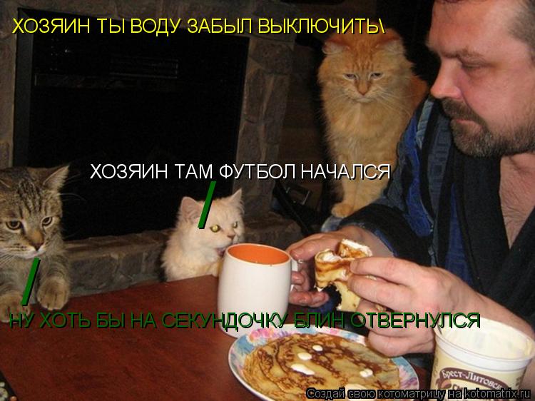 Котоматрица: / / НУ ХОТЬ БЫ НА СЕКУНДОЧКУ БЛИН ОТВЕРНУЛСЯ ХОЗЯИН ТАМ ФУТБОЛ НАЧАЛСЯ ХОЗЯИН ТЫ ВОДУ ЗАБЫЛ ВЫКЛЮЧИТЬ\