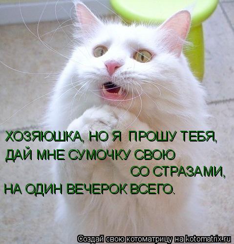 Котоматрица: ХОЗЯЮШКА, НО Я  ПРОШУ ТЕБЯ, ДАЙ МНЕ СУМОЧКУ СВОЮ СО СТРАЗАМИ, НА ОДИН ВЕЧЕРОК ВСЕГО.
