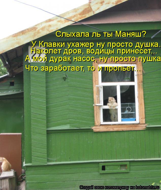 Котоматрица: Слыхала ль ты Маняш? У Клавки ухажер ну просто душка... Наколет дров, водицы принесет... А мой дурак насос, ну просто пушка, Что заработает, то и