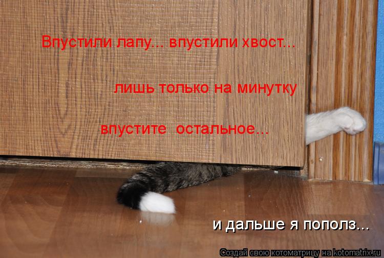 Котоматрица: Впустили лапу... впустили хвост...  лишь только на минутку впустите  остальное... и дальше я пополз...