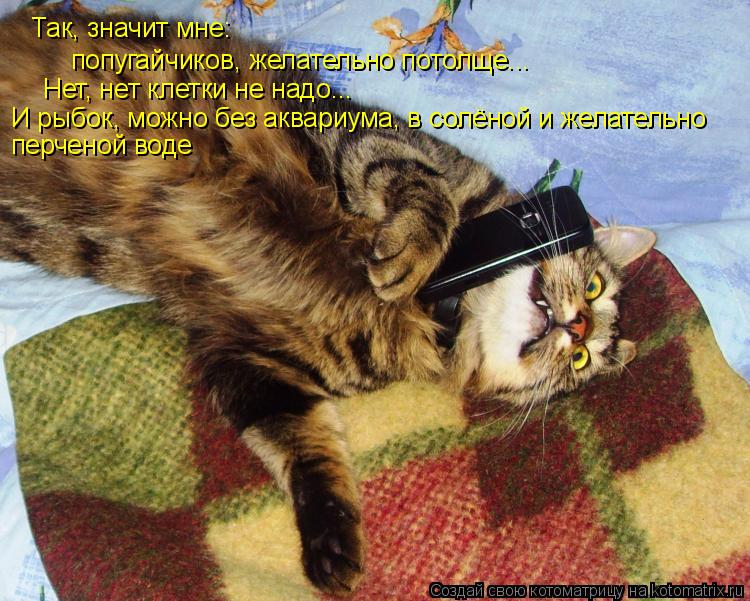Котоматрица: Так, значит мне: попугайчиков, желательно потолще...  Нет, нет клетки не надо... И рыбок, можно без аквариума, в солёной и желательно перченой в
