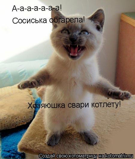 Котоматрица: А-а-а-а-а-а-а! Сосиська обгарела! Хозяюшка свари котлету!
