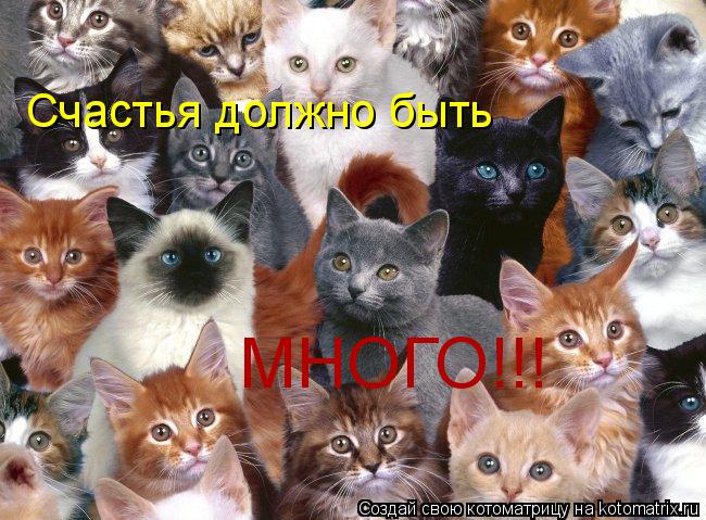 Котоматрица: Счастья должно быть  МНОГО!!!