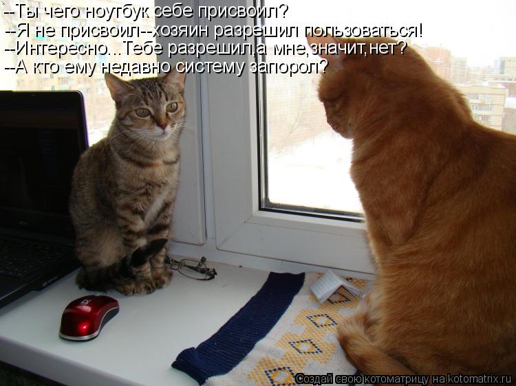 Котоматрица: --Ты чего ноутбук себе присвоил? --Я не присвоил--хозяин разрешил пользоваться! --Интересно...Тебе разрешил,а мне,значит,нет? --А кто ему недавно