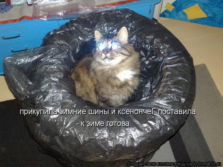 Котоматрица: прикупила зимние шины и ксенончеГ поставила  - к зиме готова
