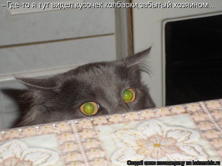 --Где-то я тут видел кусочек колбаски,забытый хозяином...... Котоматрица: --Где-то я тут видел кусочек колбаски,забытый хозяином...