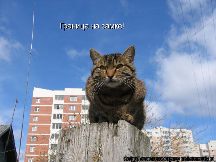 Котоматрица: Граница на замке!